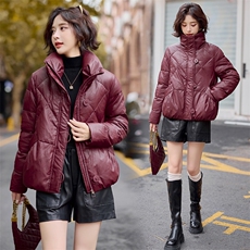 2024冬季女装新款时尚百搭大方填充绵羊毛立领皮皮衣羽绒服，女装棉衣/棉服，缘衣格