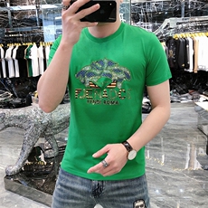 新款时尚高端精品欧货夏季男T恤短袖潮流抖音A227B-A-726-P48，男装T恤，电商A227B（原钱塘4066-1）