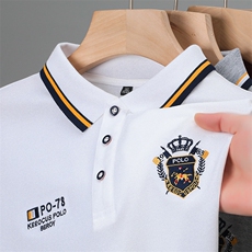 短袖T恤男翻领夏季新款半袖体恤薄款中青年休闲时尚纯色Polo衫潮，男装T恤，电商B212（原钱塘6029）