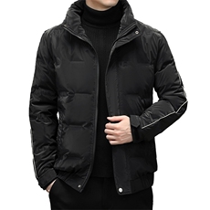 BF2952钱塘2020-2中青年男士时尚休闲帅气冬季厚款羽绒服P185，男装羽绒服，钱塘207-2