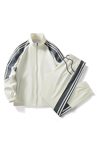 2025男秋季开衫套装两件套运动服休闲服长袖套装立领外套D02-P40图片