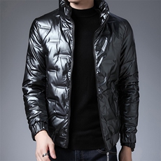 冬季新款中年男士休闲立领羽绒服保暖纯色羽绒上衣BJY08817-P145，男装羽绒服，电商B212（原钱塘6029）