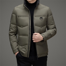 DAJ8907钱塘2020-2冬季新款百搭时尚休闲中年男士羽绒服P170，男装羽绒服，钱塘207-2