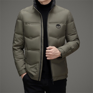 DAJ8907钱塘2020-2冬季新款百搭时尚休闲中年男士羽绒服P170图片