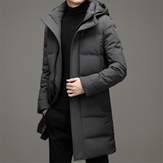 BF2919钱塘2020-2中年男士冬季厚款保暖商务休闲羽绒服货稳P620，男装羽绒服，钱塘207-2