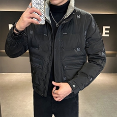 2023店主风新款男士立领羽绒服白鸭绒百搭时尚外套YR8097-P145，男装羽绒服，电商A413