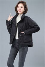 2020冬季新款时尚百搭宽松休闲舒适立领羽绒服，女装羽绒服，小林双子