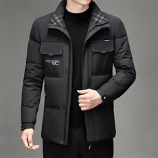 常规立领羽绒中年男士纯色面包服保暖休闲百搭外套男SJ78231-P260，男装羽绒服，电商B212（原钱塘6029）