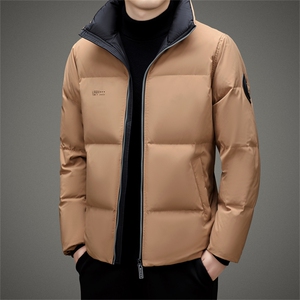 2023年新款羽绒服P220图片