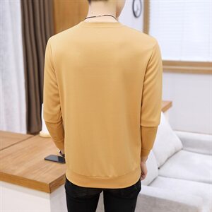 大货已备 2021跑量春季长袖T恤圆领韩版时尚男卫衣A112-W2735-P16图片