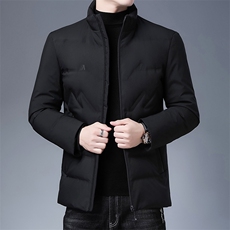 SQY2838冬季男士羽绒服保暖外套修身白鸭绒潮流帅气P216，男装羽绒服，电商B360