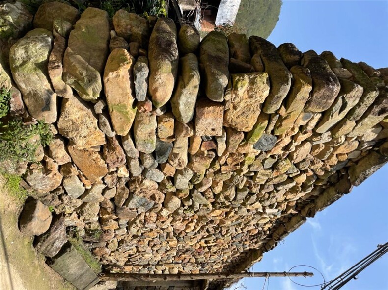 712#衬衣，其它，卡西姆