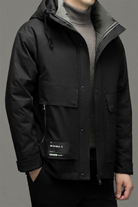 DF6850钱塘2020-2中年男士冬季厚款商务休闲连帽羽绒服P290图片