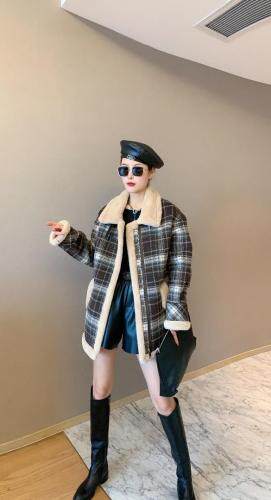 紫锦百艳 ZJBY101860