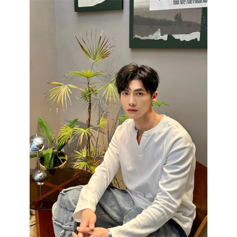 简约v领T恤纯色高级质感长袖宽松亨利领慵懒打底男春T99,男装T恤,星座1116A（原606A-3）