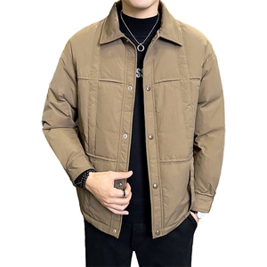 标90白鸭绒 店主风高级感翻领轻奢休闲羽绒服外套M629-P285图片