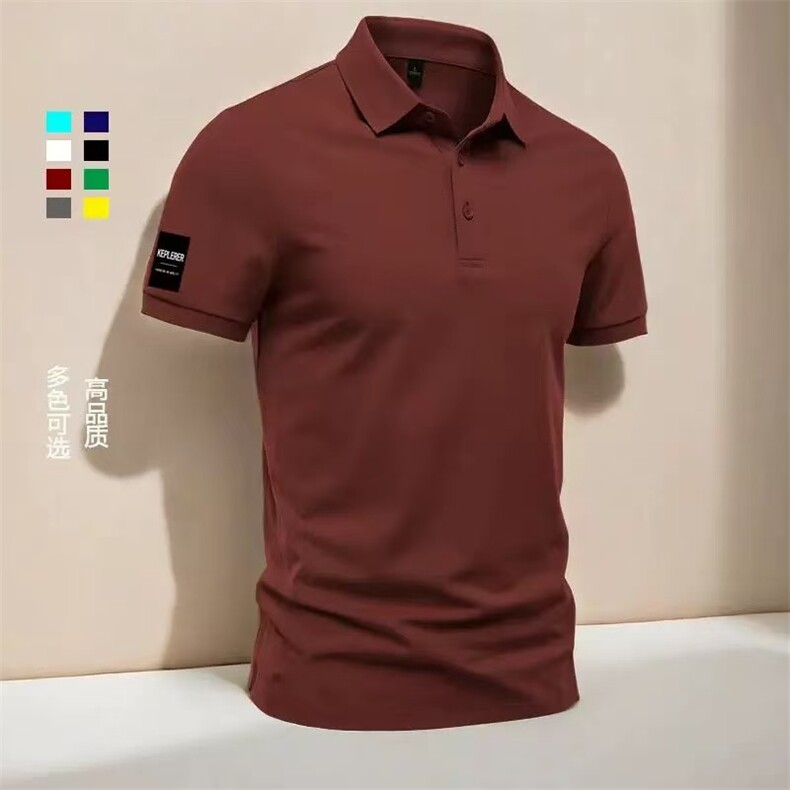 夏季短袖polo衫男款痞帅高级感休闲商务男士修身新款高品质POLO衫,男装T恤,电商B212（原钱塘6029）