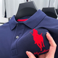 长袖T恤男纯棉翻领polo衫男春秋装上衣纯色中年男装衬衣潮流宽松，男装Polo衫，电商B212（原钱塘6029）