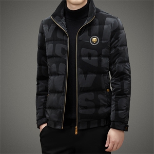 DZ009钱塘2020-3中青年男士时尚休闲简约立领冬季厚款羽绒服P210图片