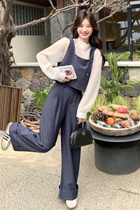 大方得体穿搭蓝色设计感马甲套装女春秋超火好看时尚阔腿裤三件套图片