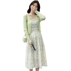 2025年春季新款修身显瘦时尚洋气飘逸两件套，女装连衣裙，心心服饰