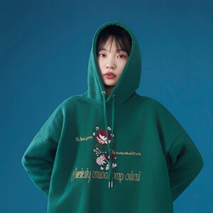 中性风C316 WY699 P68秋冬情侣装男女款刺绣加绒加厚卫衣连帽套头图片