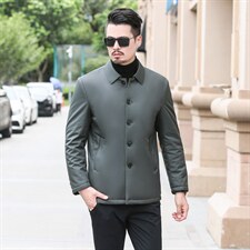 冬季中年纯色棉服男棉袄男棉衣翻领夹克爸爸装外套SFT81728-P195图片