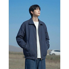 D-A178-MY008特P55冬季棉衣外套，男装棉衣，电商A178
