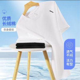 2025年春季青春流行短袖长绒棉双纱纺织男,男装T恤,牛米欧羽绒服工厂店