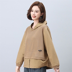 时尚宽松显瘦长袖连帽卫衣女秋冬季新款休闲百搭上衣外套6576，女装衬衫，叶笙衣