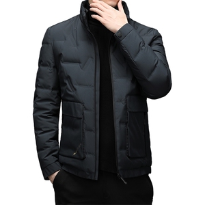 冬灰鹅绒羽绒服男立领保暖气质羽绒服时尚休闲XS98983-P266图片