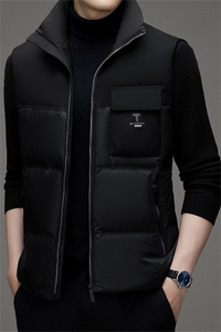V3151钱塘2020-3冬季厚款时尚休闲中年男士90鸭绒羽绒服P148图片