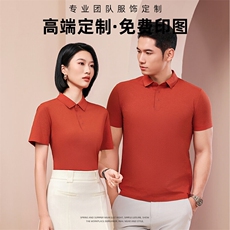 2025春季翻领工作服T恤纯色定制2299-p65，男装T恤，星座1602B（原101B-1）