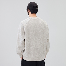 数据款-2025秋季新款圆领套头卫衣男款外穿内搭B240-WY988020-P65，男装卫衣，电商B240