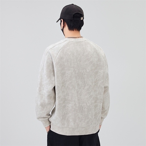 数据款-2025秋季新款圆领套头卫衣男款外穿内搭B240-WY988020-P65图片