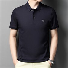 2023夏季新款男士短袖t恤冰丝翻领中年刺绣夏装POLO衫男装上衣，男装T恤，电商B212（原钱塘6029）