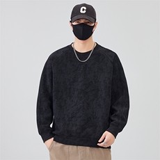 现货数据2025新款秋季新工艺套头卫衣男B240-WY988020-P65，男装卫衣，电商B240