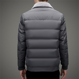 H2801秋冬新款男士羽绒服加厚夹克外套P210图片