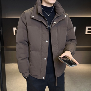新标90纯色无帽立领羽绒服休闲百搭上衣外套男A329-YR2552-P270图片