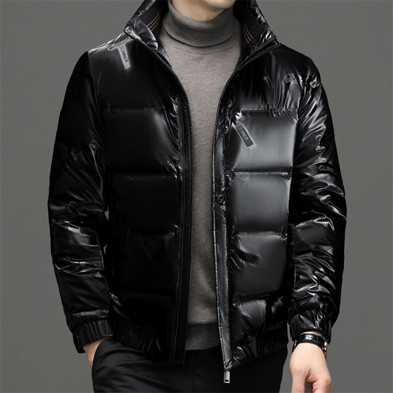 2024冬季新款羽绒服男士立领保暖外套中年男装加厚短款宽松爸爸装,男装羽绒服,钱塘6003（原4033）