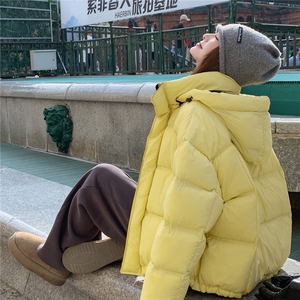 2025年冬季时尚潮流防风式腰绳设计白鸭绒图片