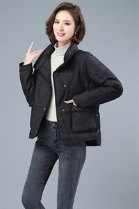 2020冬季新款时尚百搭宽松休闲舒适立领羽绒服图片