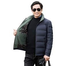 冬装短款羽绒服爸爸男装简约休闲男士保暖加厚中老年宽松立领洋气，男装羽绒服，钱塘6003（原4033）