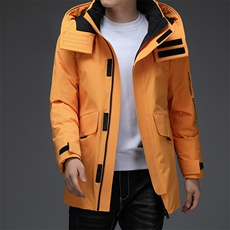 冬季休闲可拆卸帽中长款羽绒服新款中青年加厚外套DFLDY6001-P295，男装羽绒服，电商B212（原钱塘6029）
