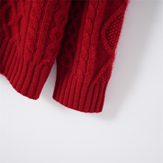 2026年秋季圆领长袖单件通勤套头休闲/淑女羊绒衫，女装羊绒衫，名驰羊绒