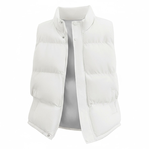 现货5W件冬季三防硬挺boxy短款立领棉衣马夹外套加厚马甲保暖棉服图片