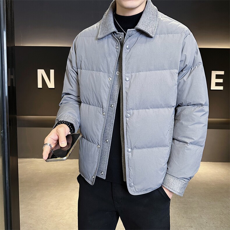 90新标假两件白鸭绒加厚保暖简约休闲羽绒服外套75511-P290,男装羽绒服,电商A413