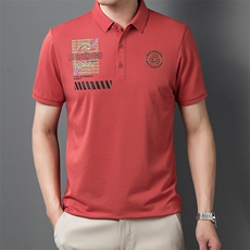 polo衫短袖男夏季潮牌2023新款半袖上衣宽松翻领t恤男，男装T恤，电商B212（原钱塘6029）