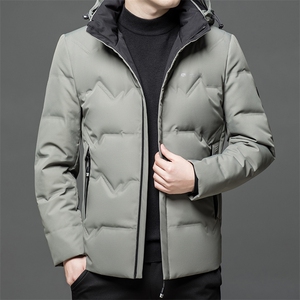 羽绒服男士新款秋冬季宽松休闲中青年保暖立领外套 FF8233-P275图片