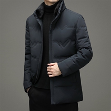BW715钱塘2020-2中年男士冬季厚款商务休闲简约百搭羽绒服P350，男装羽绒服，钱塘207-2